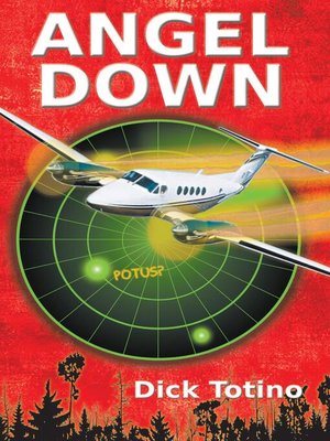 cover image of Angel Down